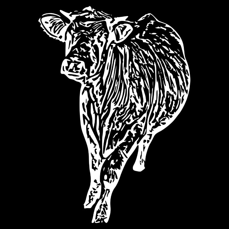 Vache Vache Blanche Vache Blanche Vaches Silhouettes