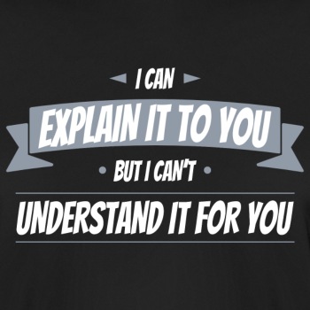 I can explain it to you but I can't understand ... - Functional T-shirt for men