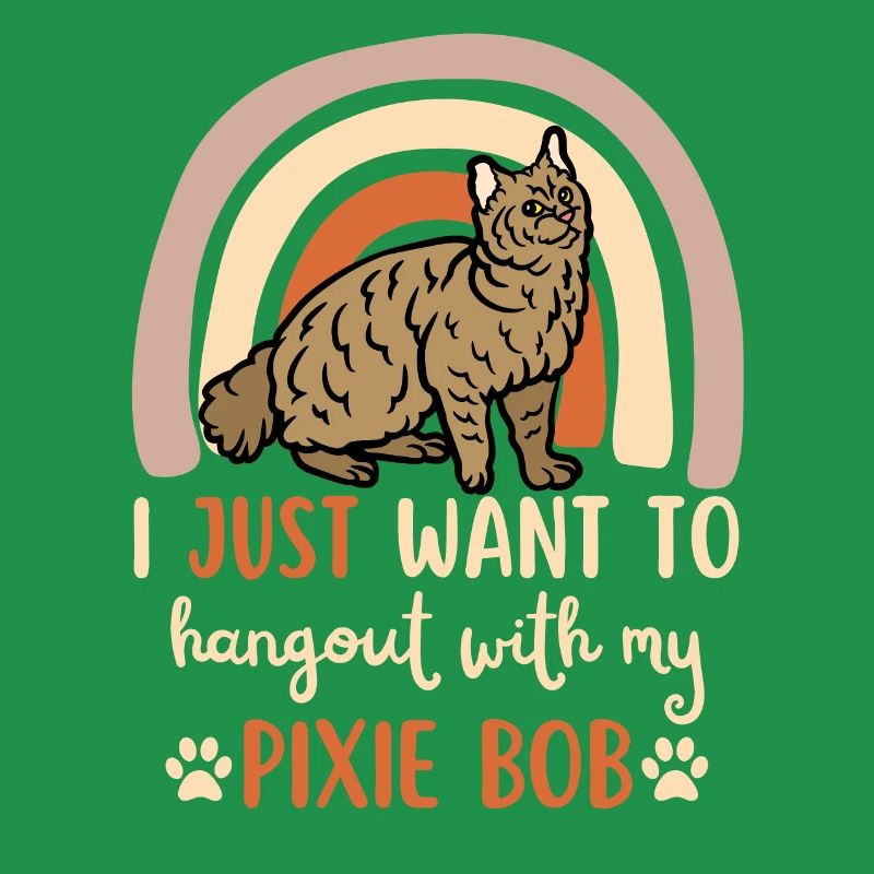 Mignon Pixie Bob Cat