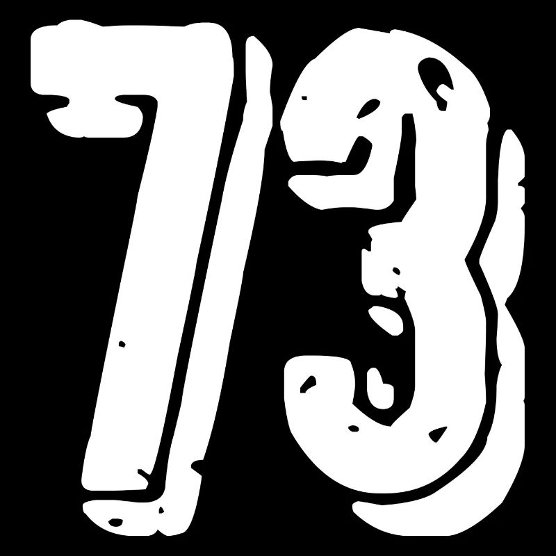 Maillot à 73 numéros