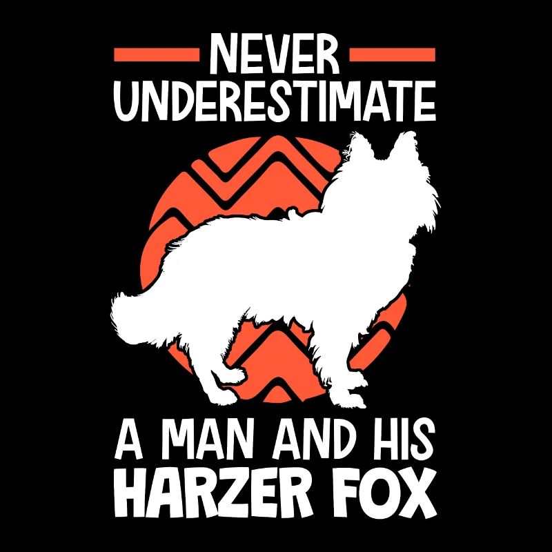 Do not underestimate Harzer Fuchs herding dog