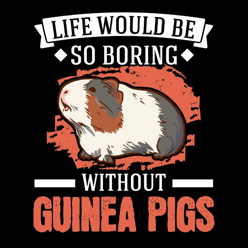 Cochon d’Inde Cadeau Cochon d’Inde