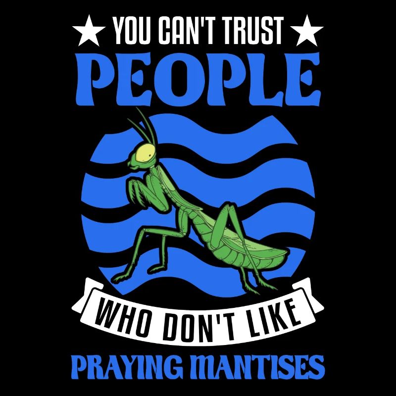 Praying Mantis Gift Mantis Mantis Mantis Fangschrecke