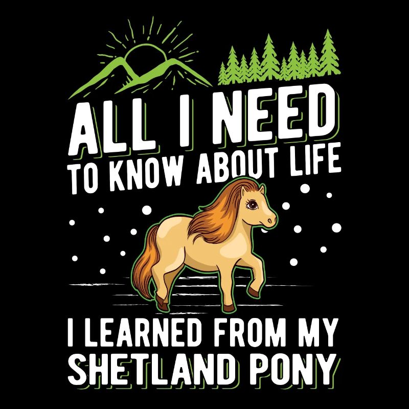 Shetland Pony Shetland Pony Shetty