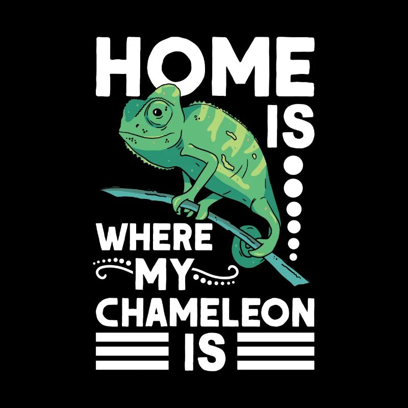 Caméléon Accueil Caméléon