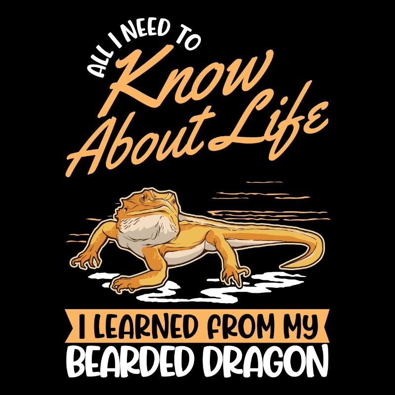 Bartagame Dragon barbu