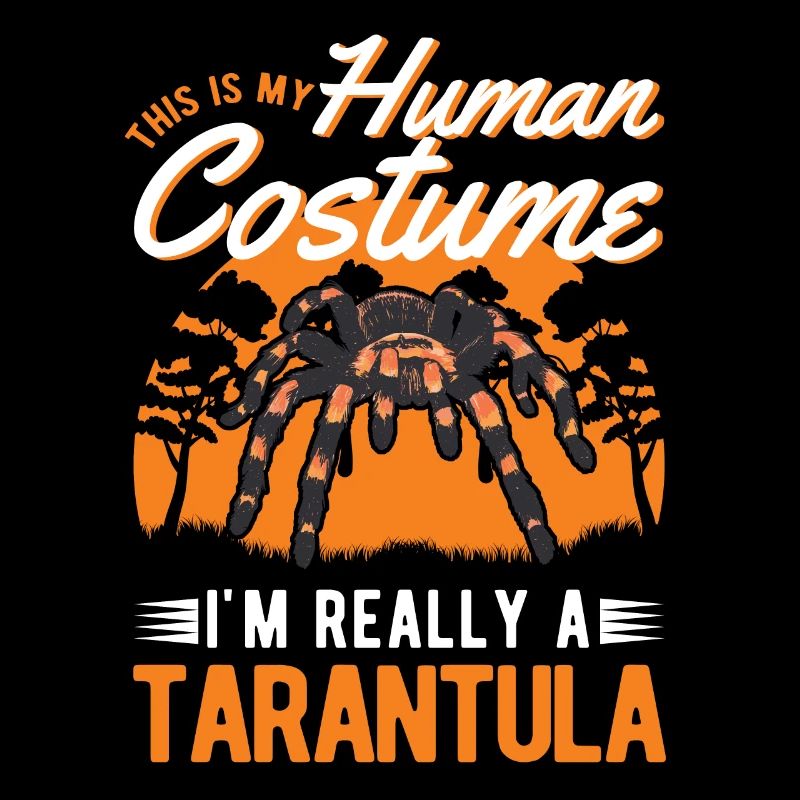 Tarentule Halloween Araignée Tarentule