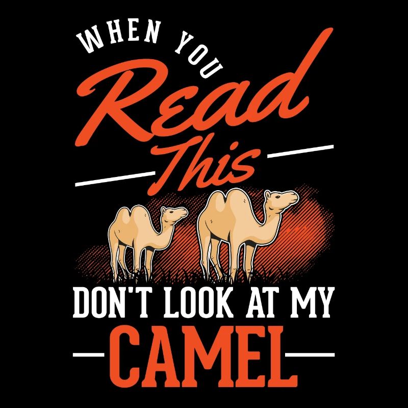 Kamel Geschenk Dromedar Camel Großkamel