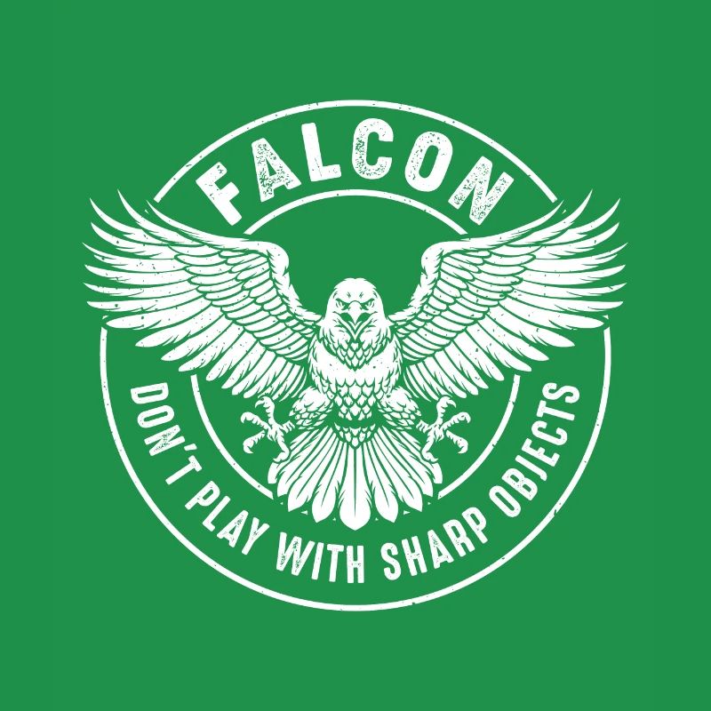 Falcon Sharp objects Falconry Ornithologist Eagle