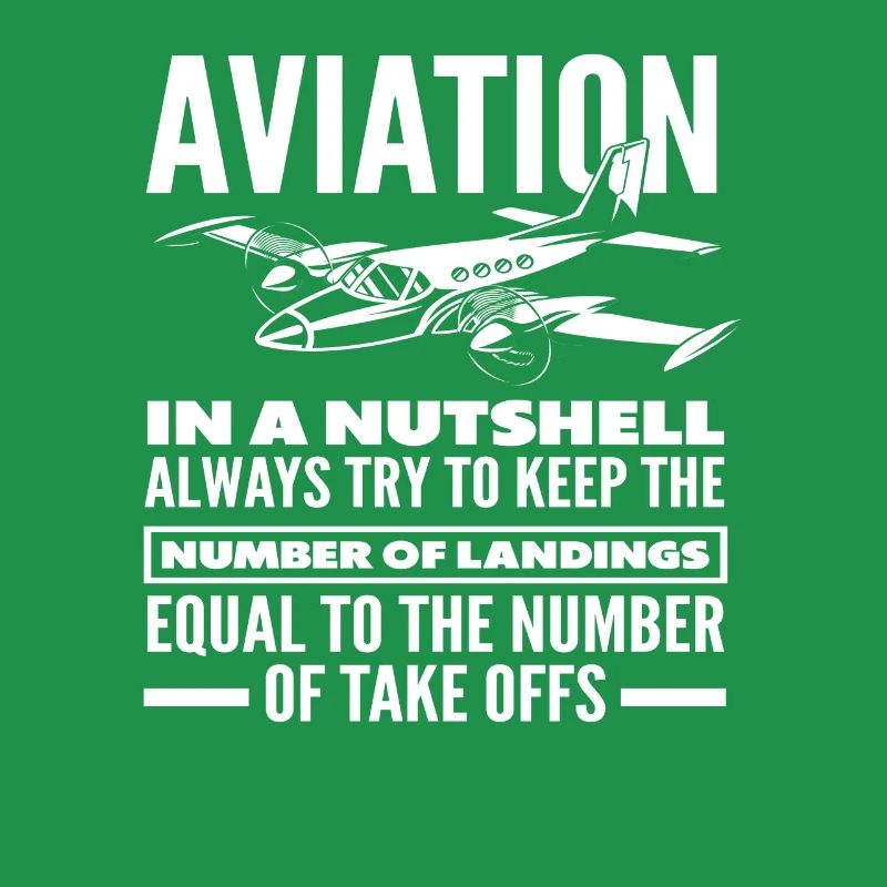 Pilot Aviation Hobby Profession