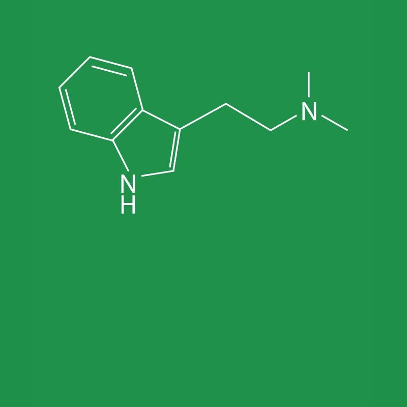 DMT molecule Ayahuasca Dimethyltryptamine