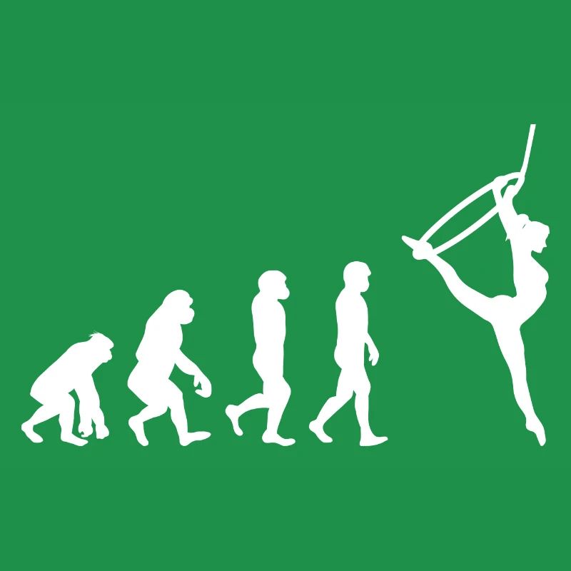 Aerial Hoop Lyra Circus Acrobatics Evolution
