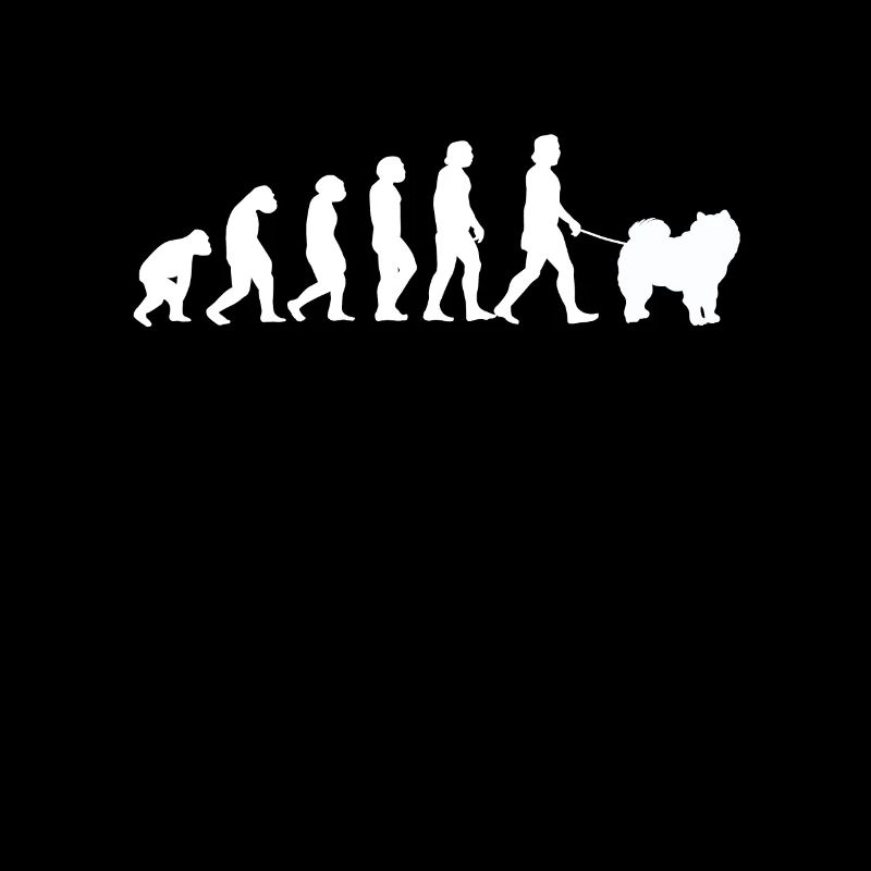 Chow Chow Evolution Chinese Lion Dog