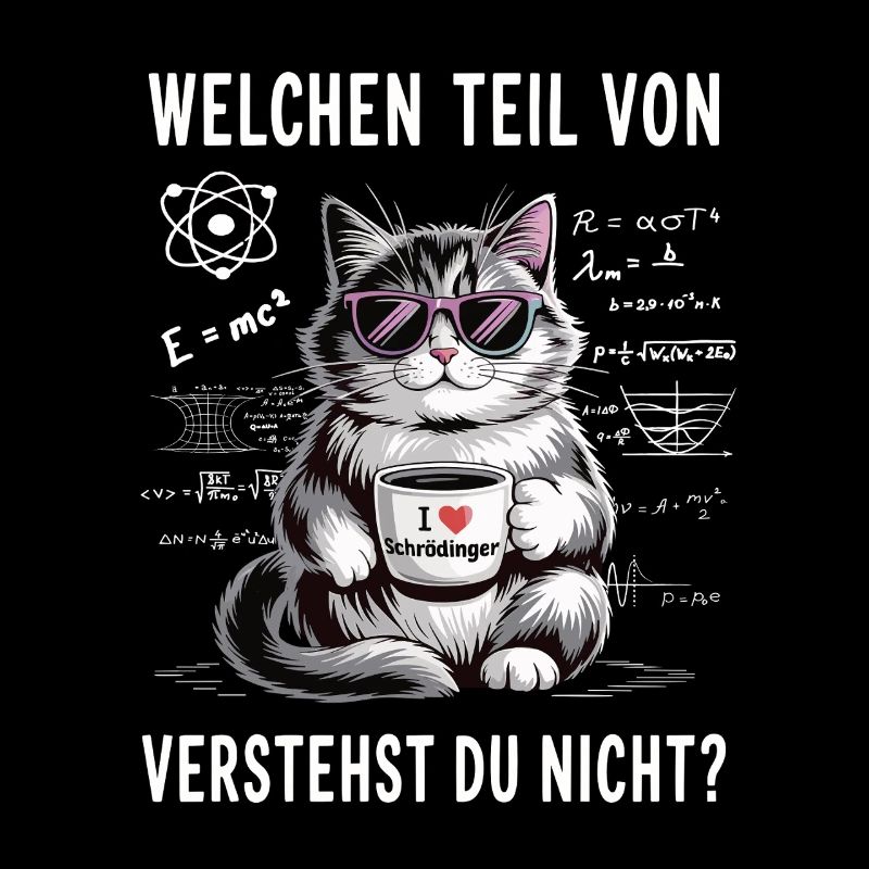 Welchen Teil von Quanten Physik vestehst du nicht