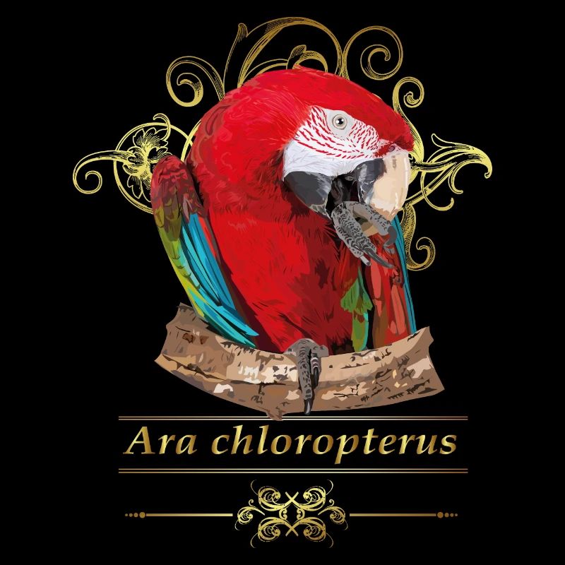 Ara rouge