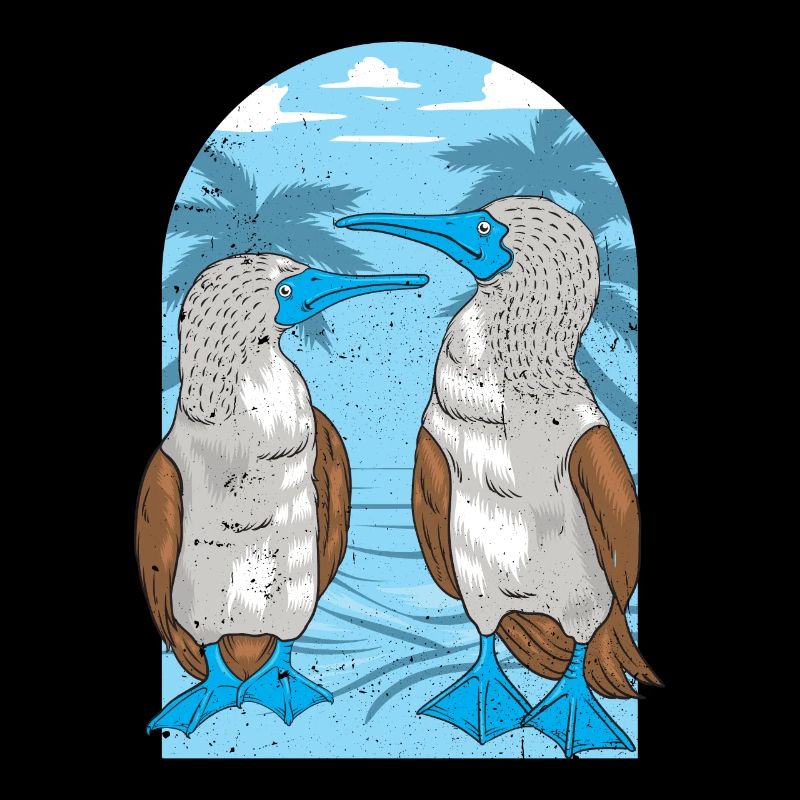 Oiseaux de mer à pieds bleus