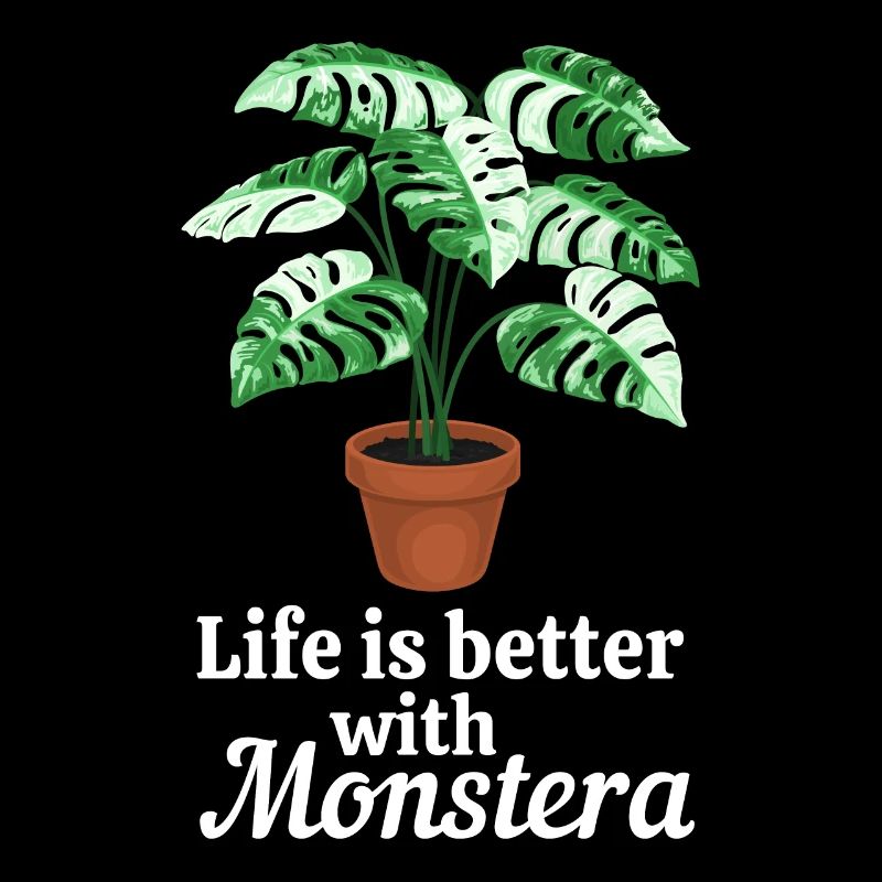 Life is better with Monstera
