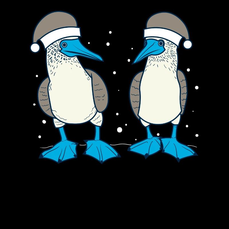 Fou à pieds bleus Noël