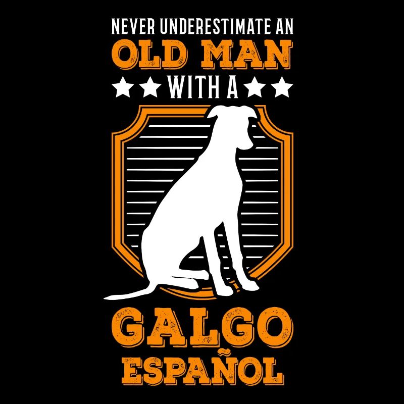 Galgo Español Alter Mann Spanischer Windhund