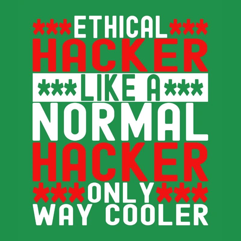 Programmierer Cyber Security