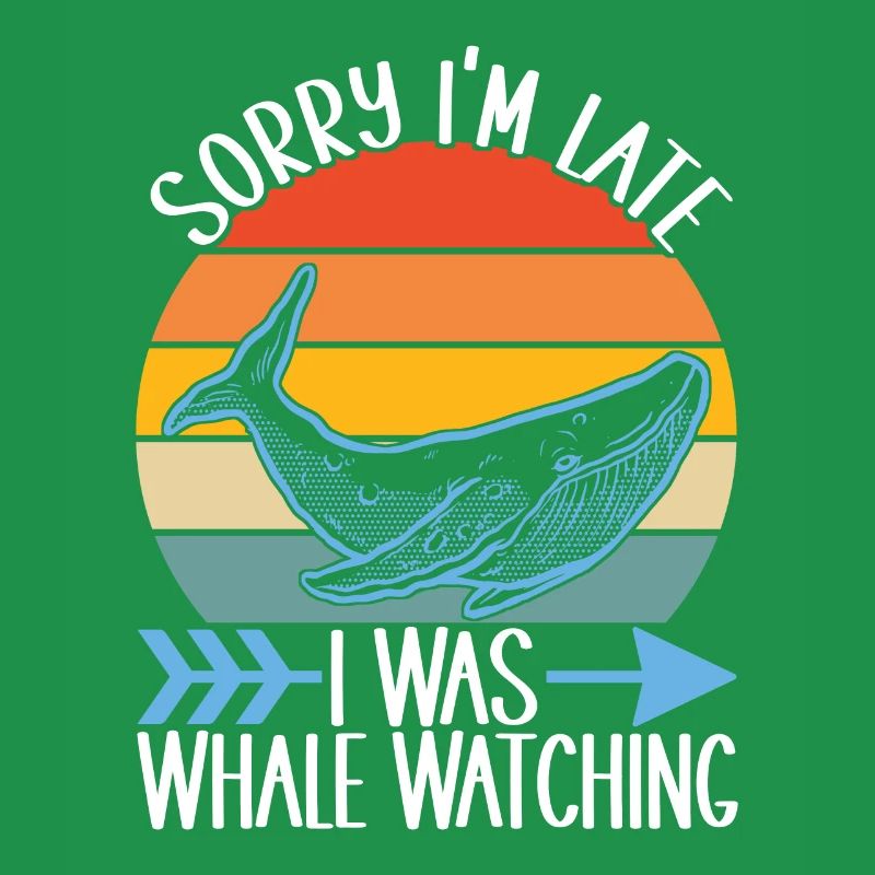 Osservatori di balene