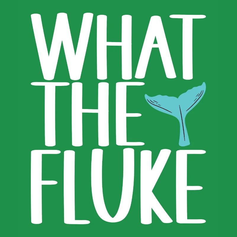 Osservatori di balene