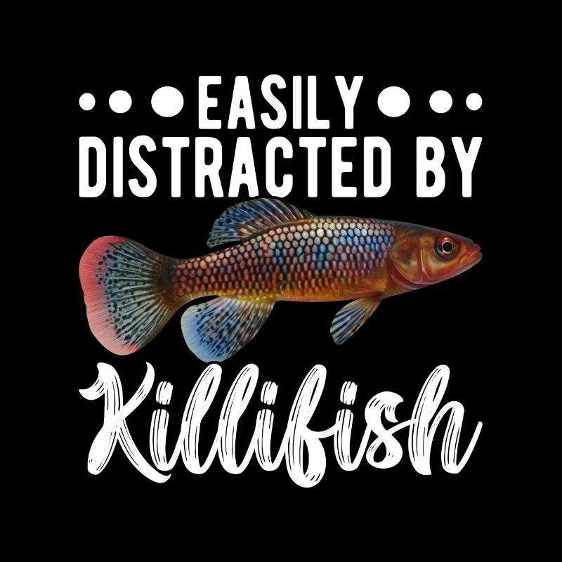 Killifish Quarium Fish