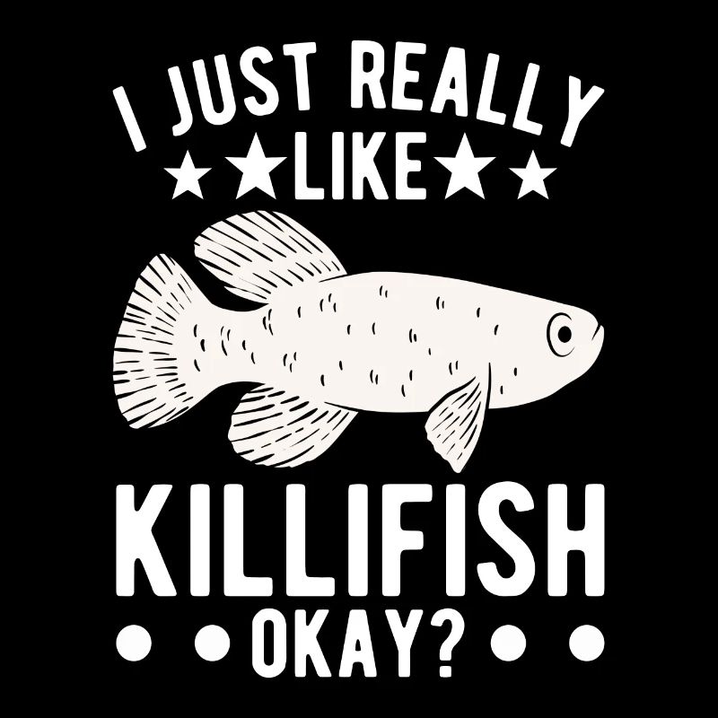 Killifish Quarium Fish