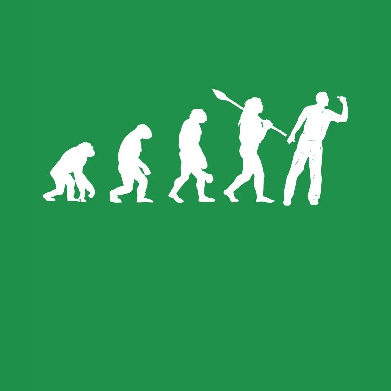 Dart Evolution Dart player dartboard darts