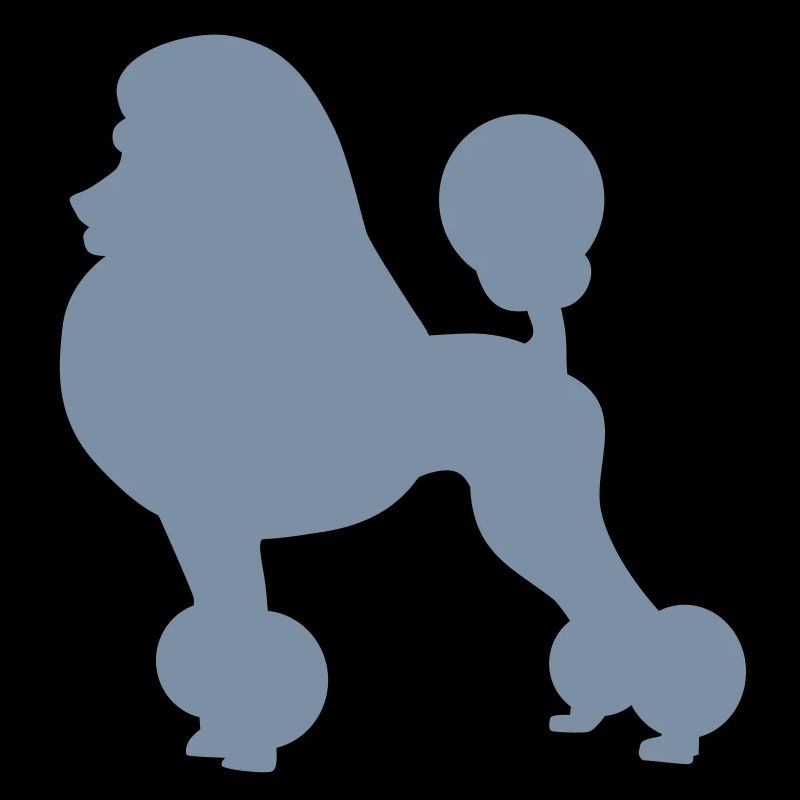 Poodle dog