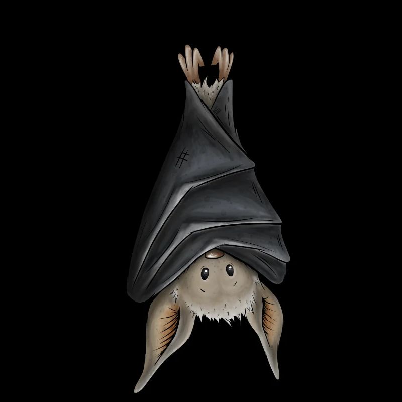 Funny chilling upside down hanging bat
