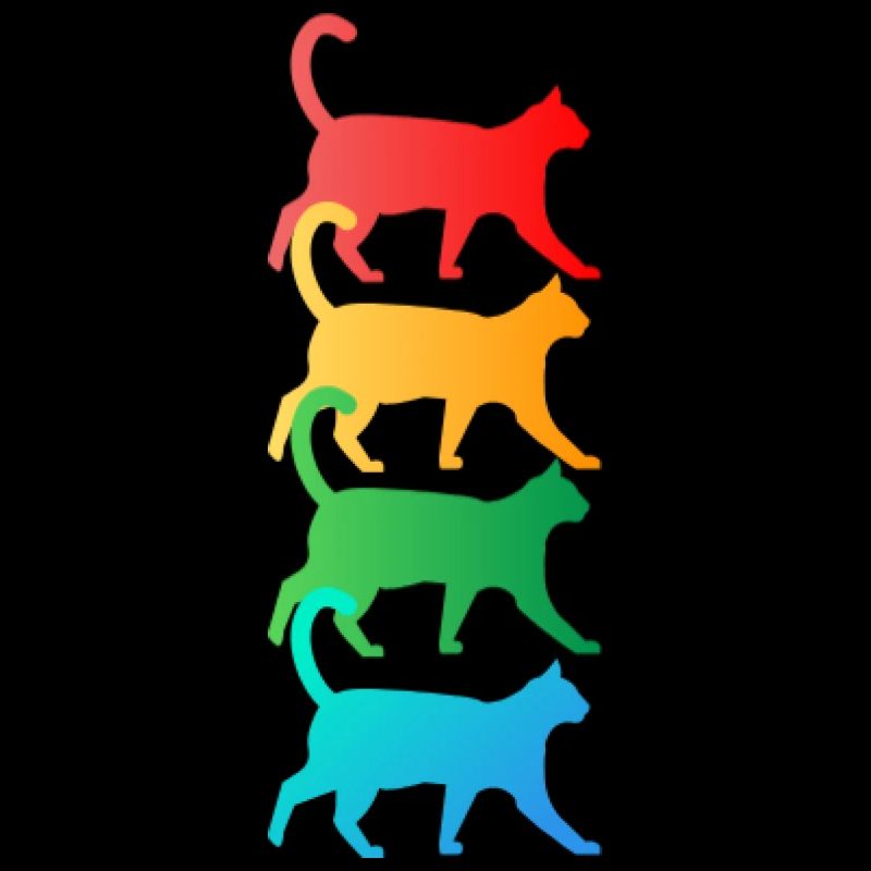 Chat mignon - Chat amoureux de chats T-shirt