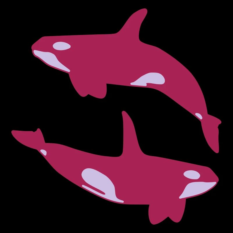 2 Schwertwale