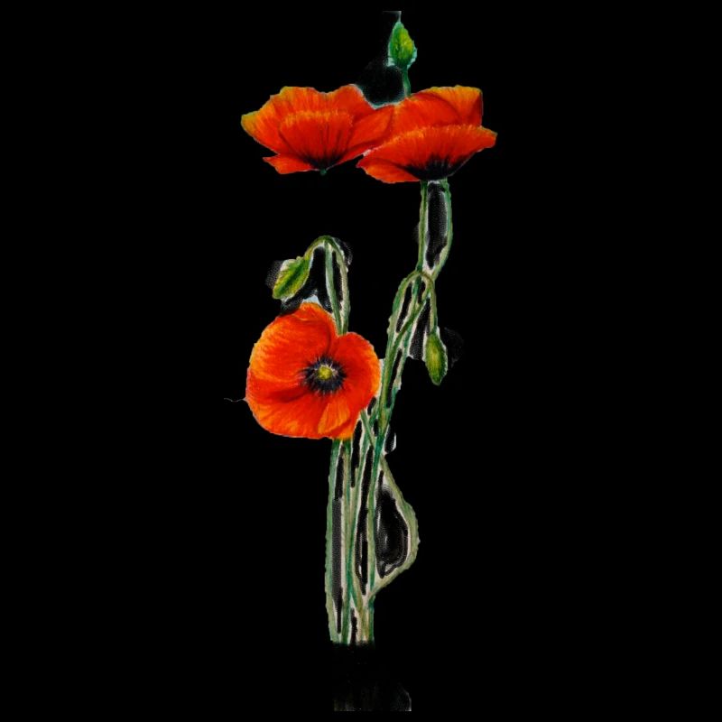 mohnblume