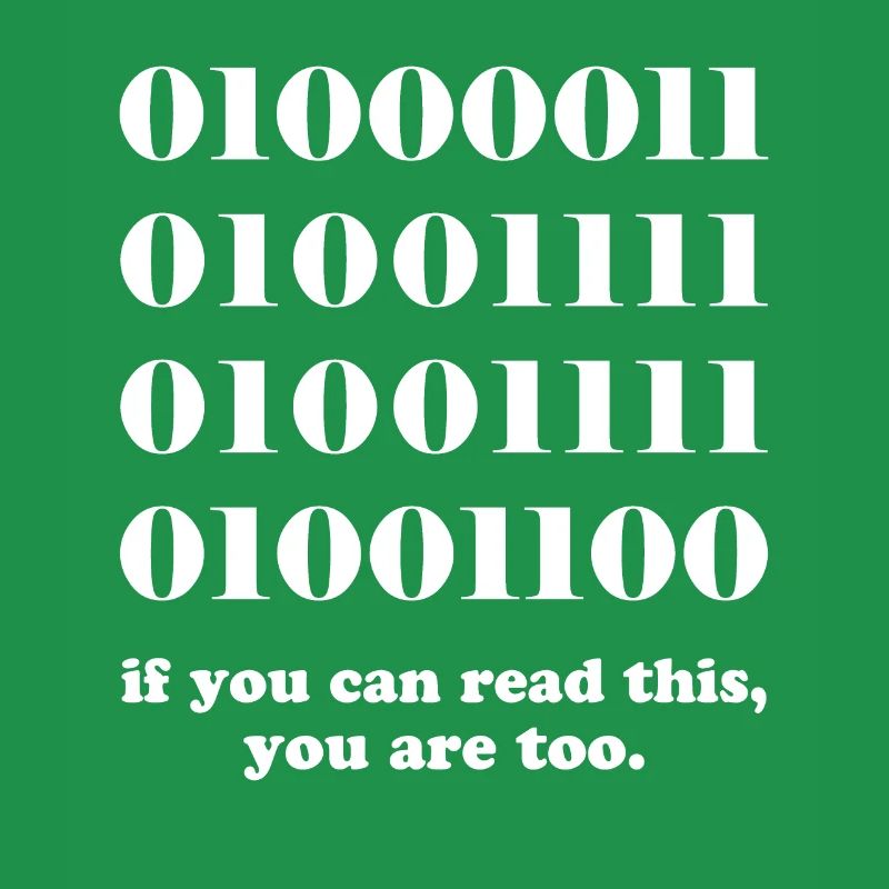 Computer binary code developers gift