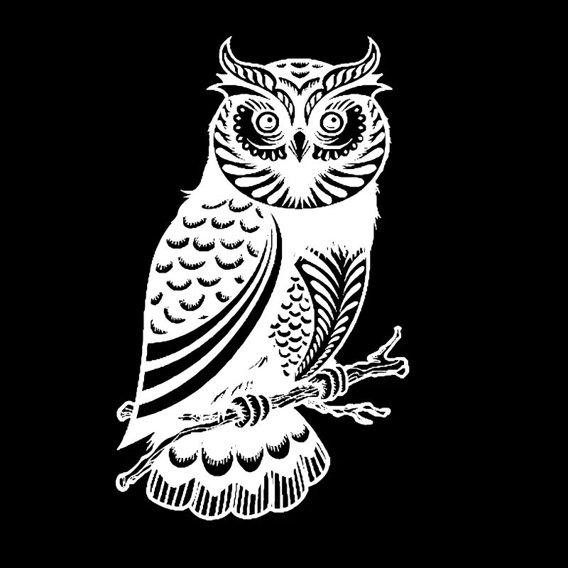 Pretty owl