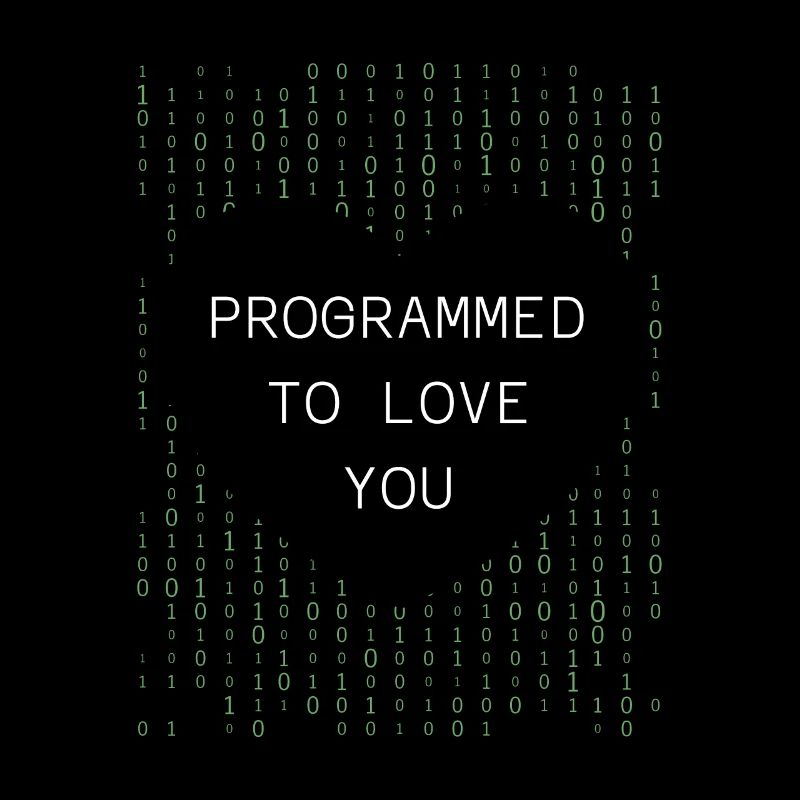 Developer Coder Programmer