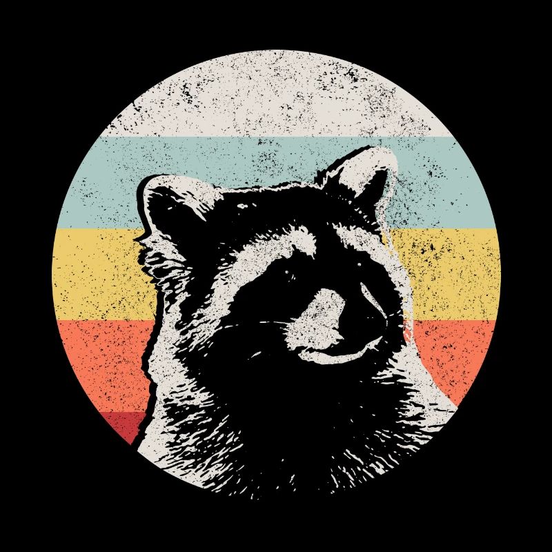Raccoon Funny Gift