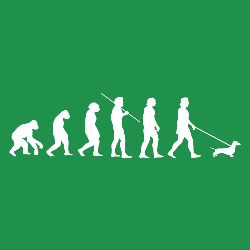 Dachshund evolution dachshund dachshund gift idea