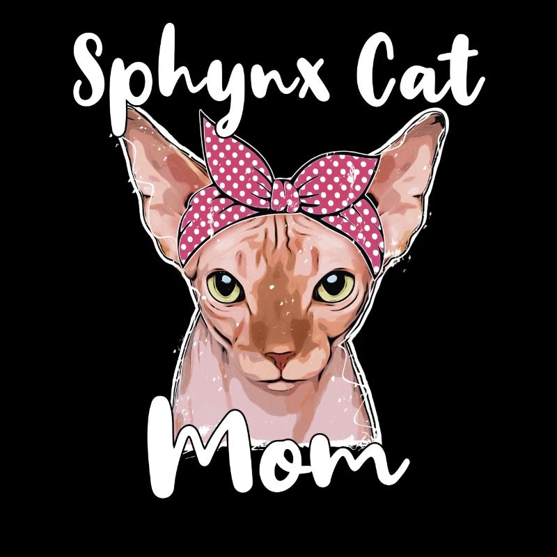Sphynx Chat Maman Sphynx Chat