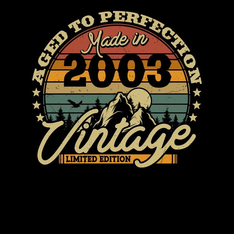 Vintage Retro Geburtstagsgeschenk 2003