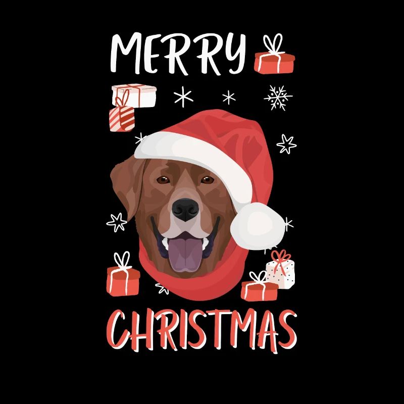 Joyeux Noël Labrador