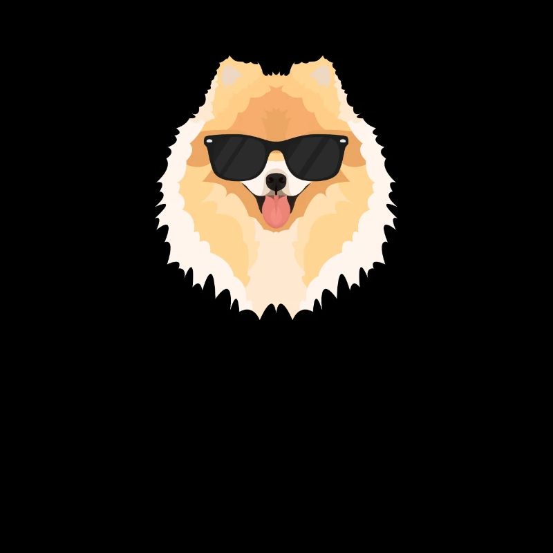 Mein Zwergspitz ist der Coolste