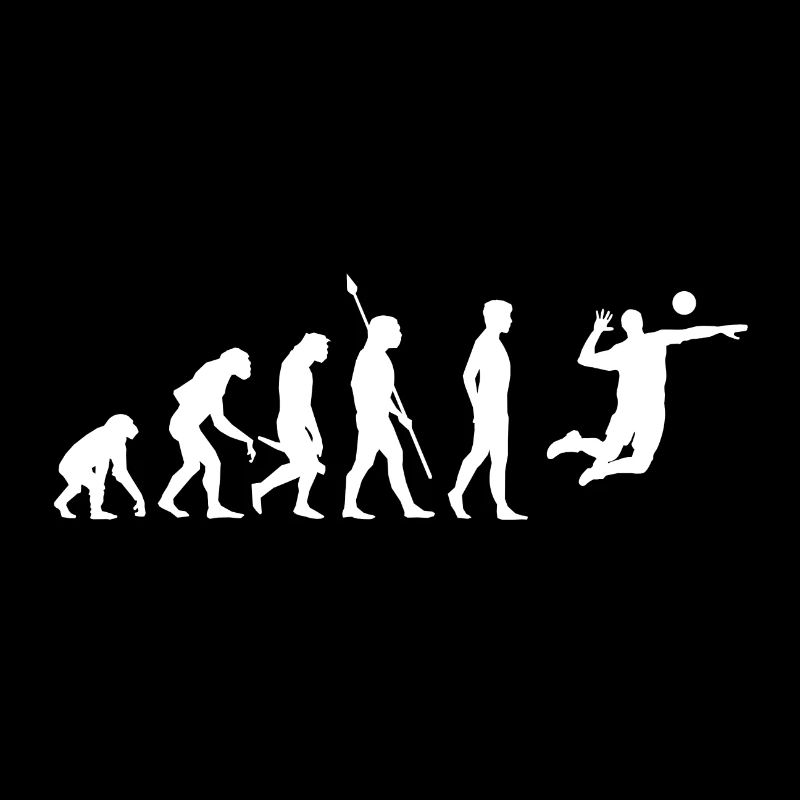 Volleyball Evolution