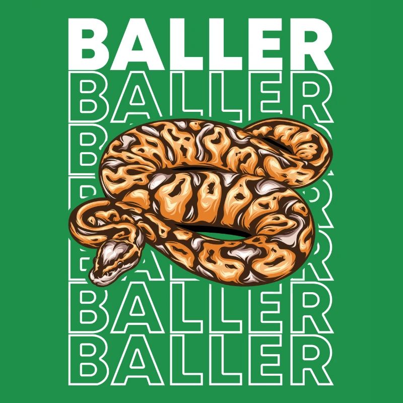 Ball Python 80's Style Baller Royal Python Snake