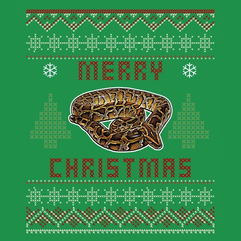 Burmesische Python Weihnachten