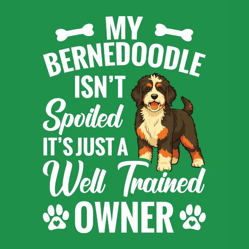 Mon Bernedoodle n’est pas gâté, c’est juste