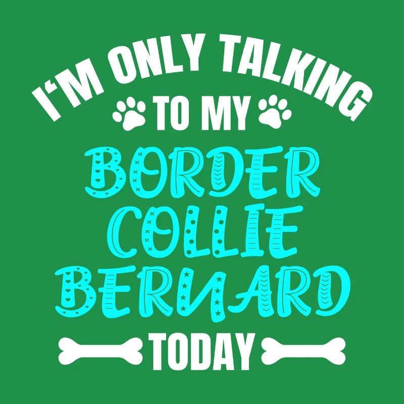 Border Collie Bernard