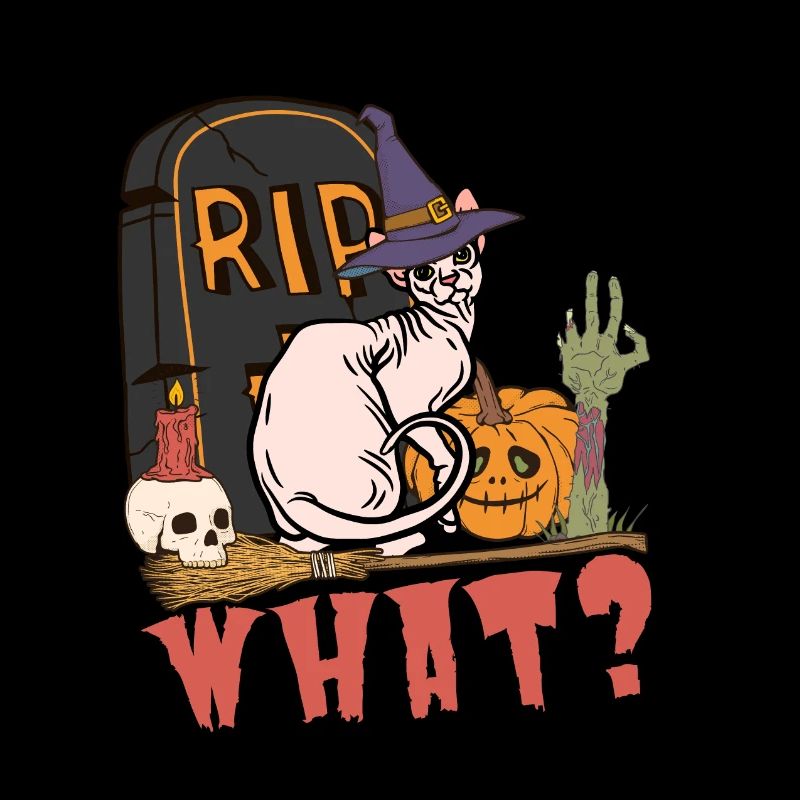 Mignon et effrayant chat d’Halloween Sphynx