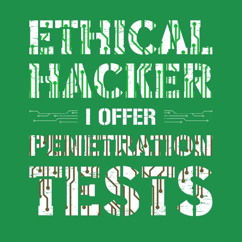 Développeur Web Computer Security Hacker